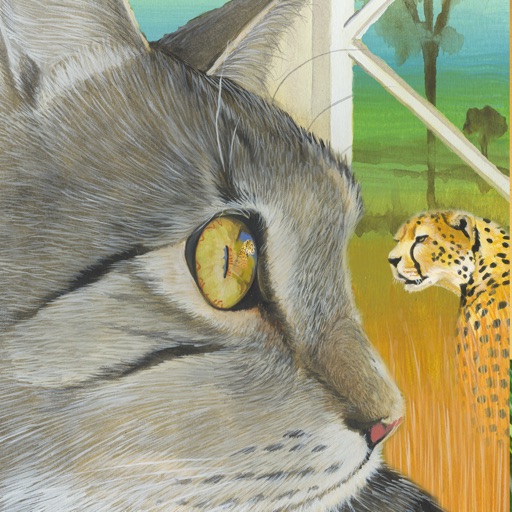 My Cat At Home In The Wild