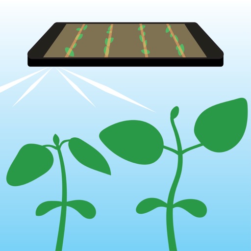 Bean Cam - Wisconsin's Soybean Replant Calculator