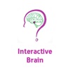 Interactive Brain Model