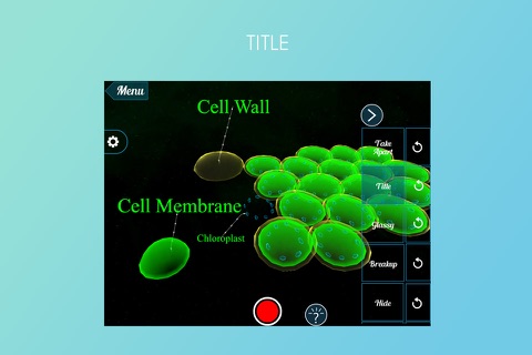 VR Mesophyll Cells screenshot 3
