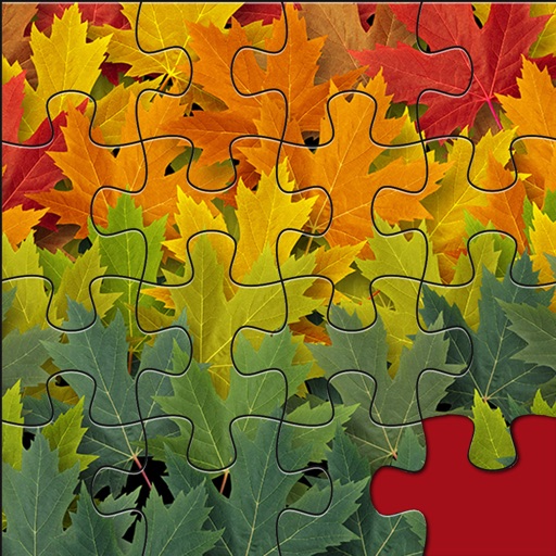 Jigsaw Celebrate Every Weather Puzzle Packs iOS App
