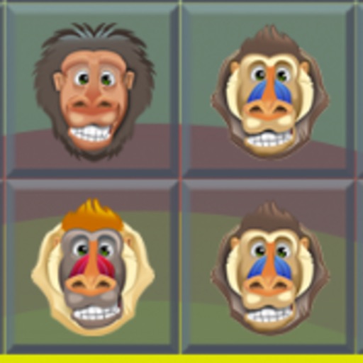 A Baboon Match Arena