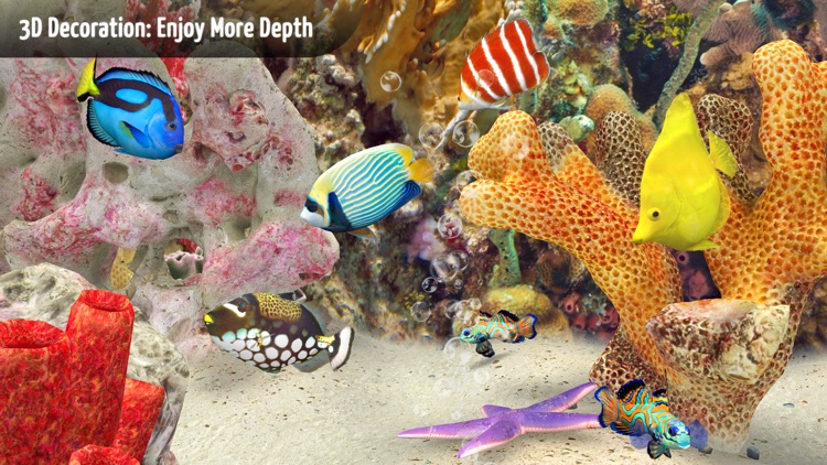 MyReef 3D Aquarium 3