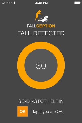 Fallception screenshot 3