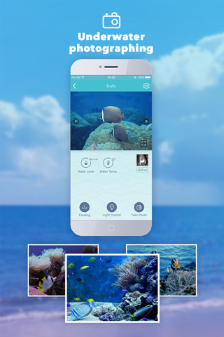 FishStar — Every fish is a super star screenshot 4