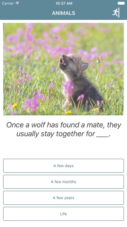 Follett Quizzes screenshot-3