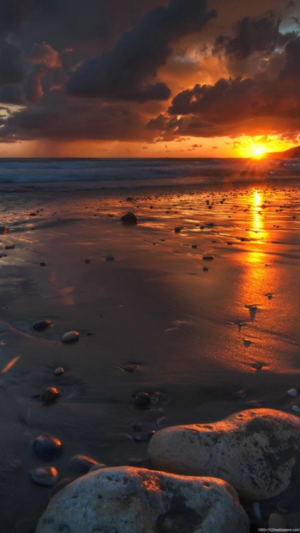 Art of the Sunset screenshot-3