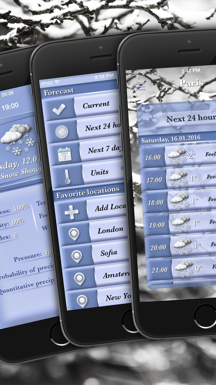 Weather Professional Forecast