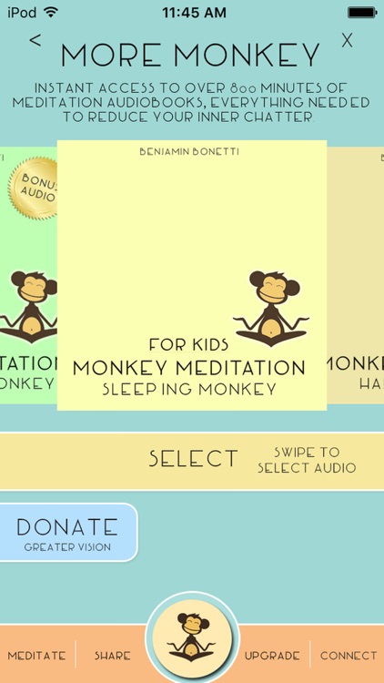 Calm Monkey Meditation by Benjamin Bonetti
