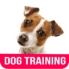 Best Dog Training Tips