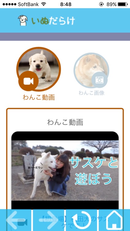 いぬだらけ By Atsushi Masai