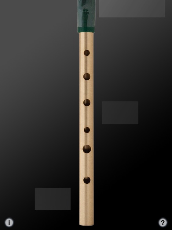 Tin Whistle Pro - Traditional Irish Whistle in Multiple Keys + Effects screenshot-3