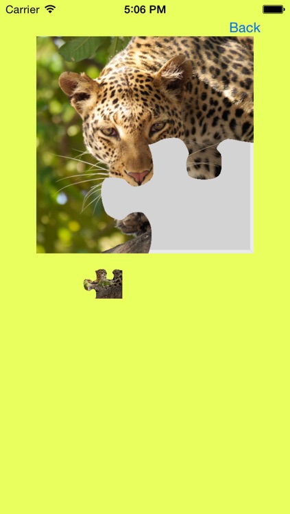 Safari Animals Jigsaw Puzzles