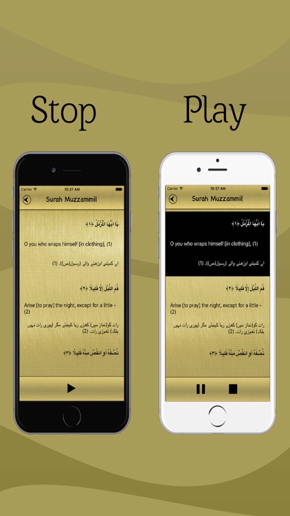 Surah Muzammil Audio Urdu - English Translation Pro