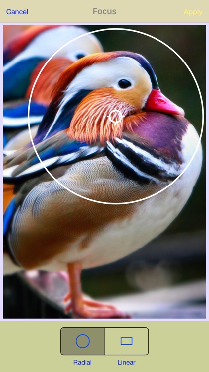 Photo Shop Touch