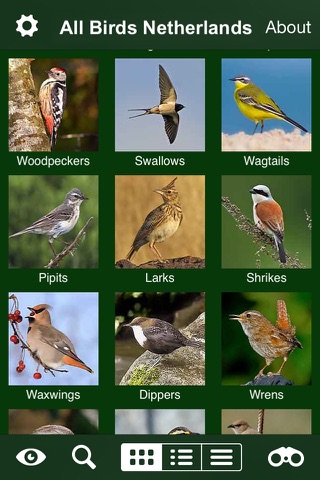 All Birds Netherlands - A Complete Field Guide to the Official List of Bird Species Recorded in the Netherlands screenshot 4