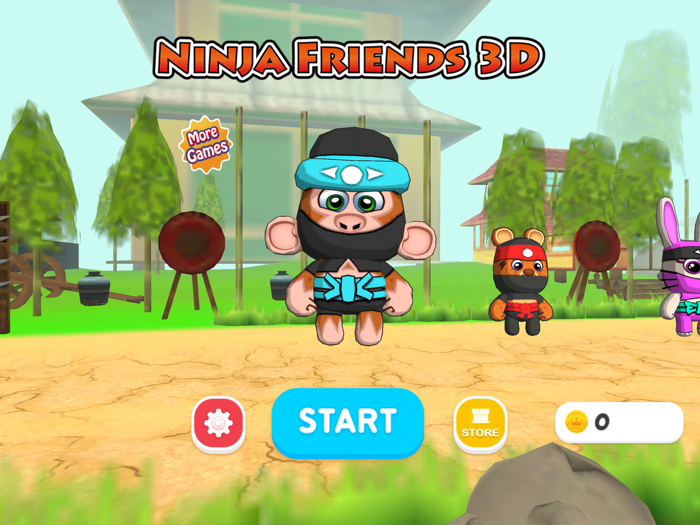 Ninja Friends 3D