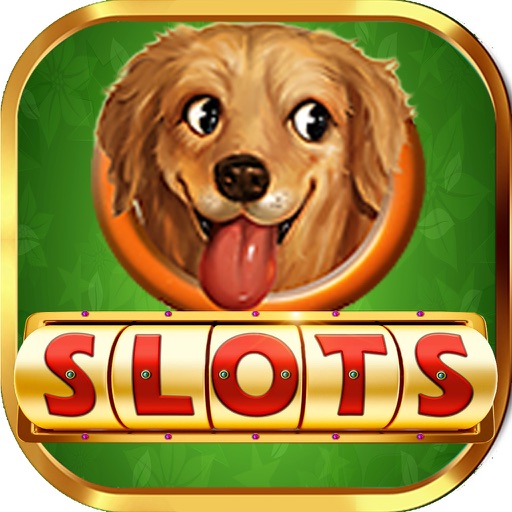 Dogs Store : Play Big Bonus Casino & Lucky Rich Vegas Jackpots Free icon