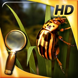 Treasure Island - The Golden Bug (FULL) - Extended Edition - A Hidden Object Adventure