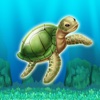 Little Turtle:Free Game For  Boys’& Girls’