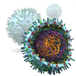 Ebola Virus Info