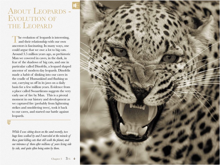 Eye of the Leopard screenshot-3