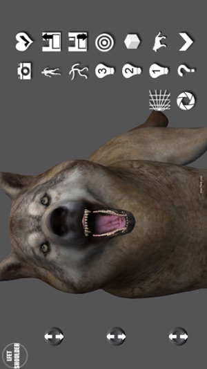 Wolf Pose Tool 3D