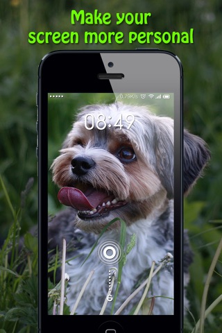 Dog Wallpapers & Backgrounds HD - Home Screen Maker with Cute Themes of Dog Breeds screenshot 3