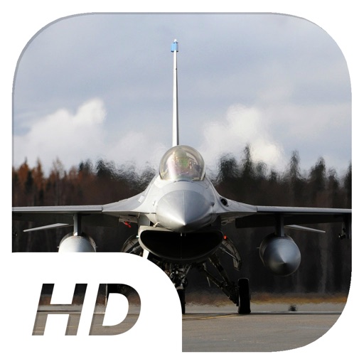 Ragged Hornet - Flight Simulator icon
