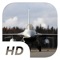 Ragged Hornet - Flight Simulator