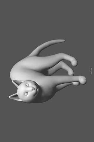Cat Pose Tool 3D screenshot 4