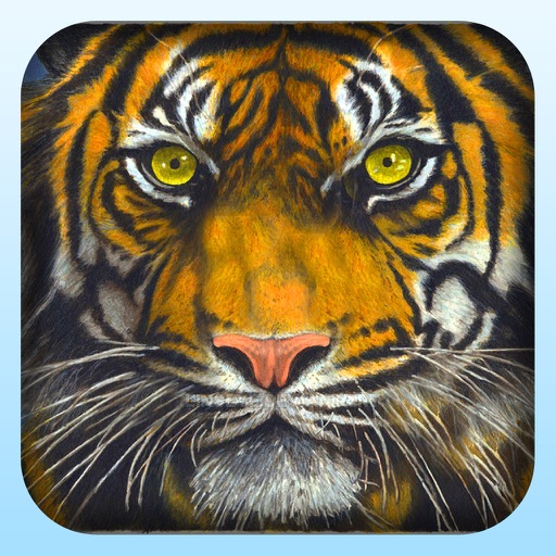 Let's Hunt Tiger - Jungle Hunting Simulator icon