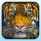 Let's Hunt Tiger - Jungle Hunting Simulator