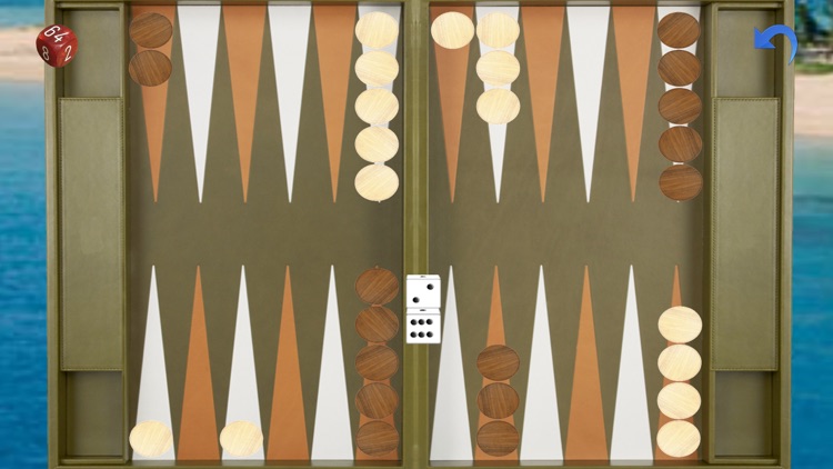 Advanced Backgammon