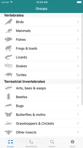 Game screenshot Field Guide to Australian Capital Territory Fauna apk