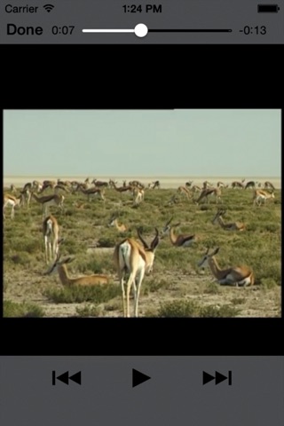 Sasol Natuurlewe vir Beginners (Volle Weergawe): Blitsfeite, foto's en video's van 46 Suider-Afrikaanse diere screenshot 4