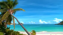 Game screenshot Relaxing Beach Videos — The best internet videos mod apk