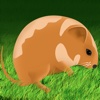 Amazing Hamster Jump Adventure Pro - crazy speed running arcade game
