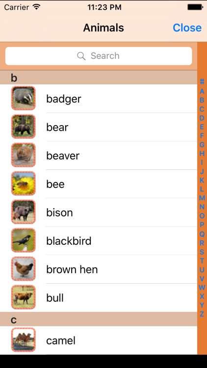 Animal ABC For Children screenshot-4