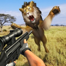 Activities of Simulator Hunting Safari