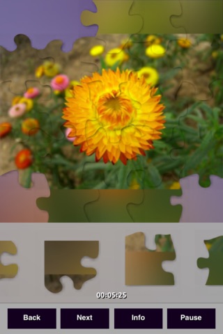 Flowers Puzzles screenshot 3