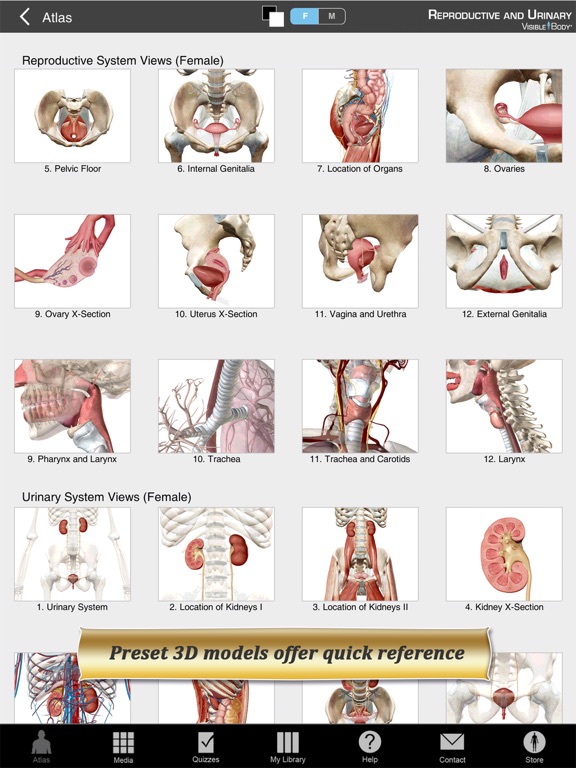 Reproductive and Urinary Anatomy Atlas: Essential Reference for Students and Healthcare Professionalsのおすすめ画像2