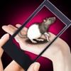Rat Hand Funny Simulator