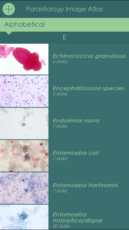 Parasitology Image Atlas screenshot-3