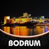 Bodrum City Travel Guide