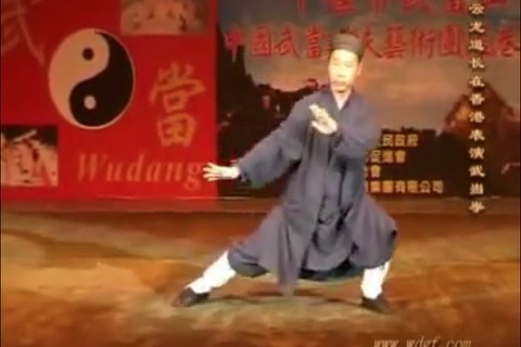 Teach Yourself Tai Chi screenshot 4