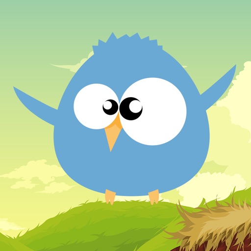 Birdy & Eggs iOS App