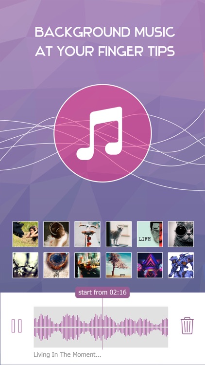 Video Frame Editor & Photo Collage Maker screenshot-3