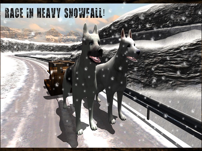 Winter Snow Dog Sledding Ski Simulator 3D