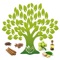 Ref Guide for Medicinal Plants is unique collection of best known remedies for diseases
